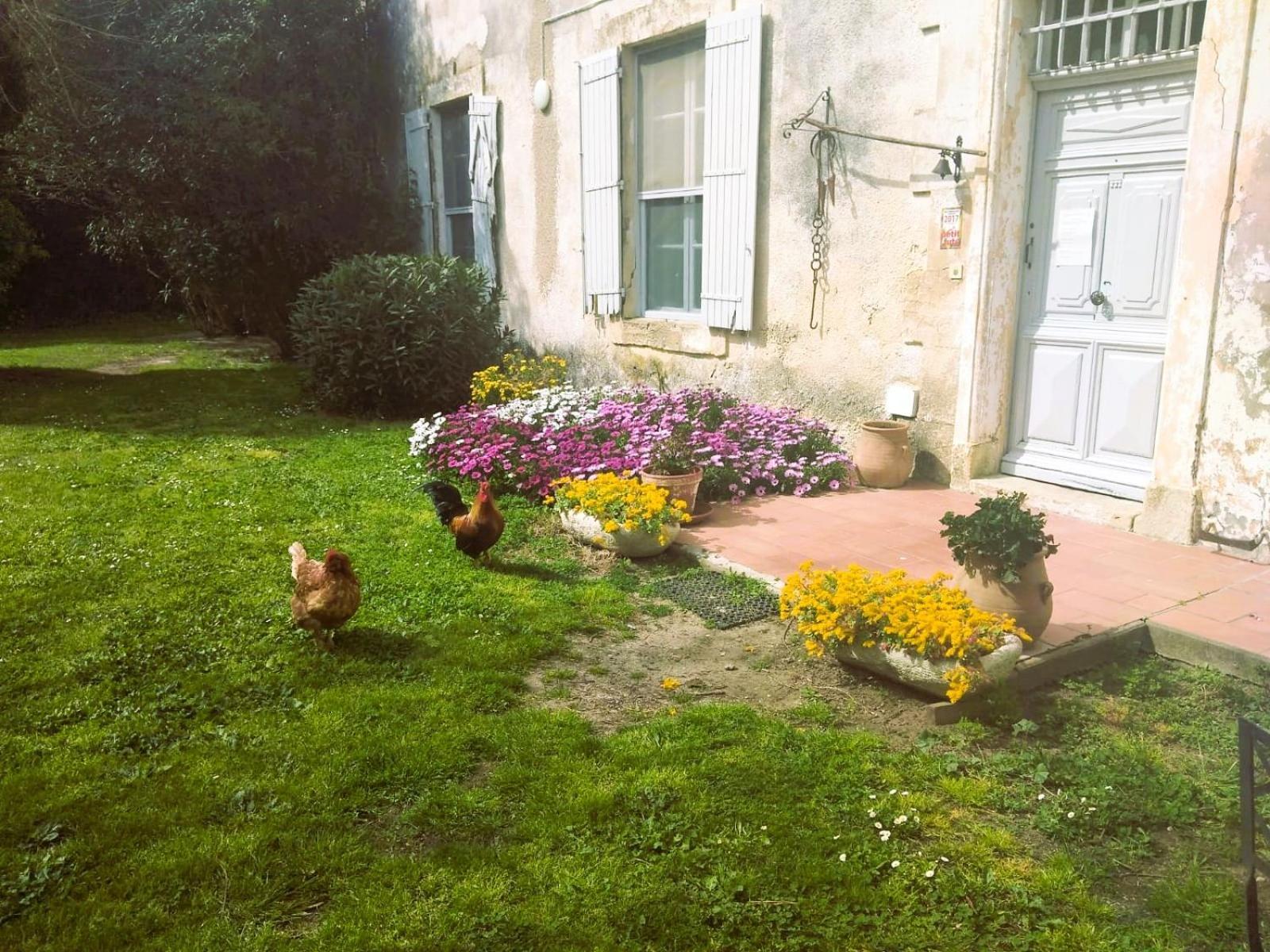 Le Mas D'Icard Saintes-Maries-de-la-Mer Esterno foto