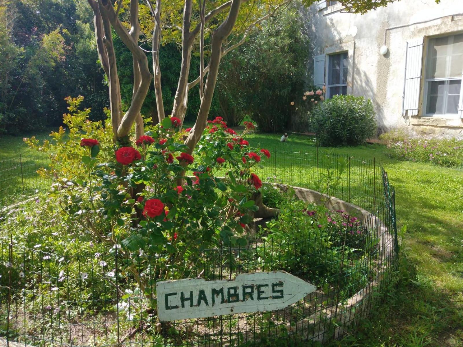 Le Mas D'Icard Saintes-Maries-de-la-Mer Esterno foto